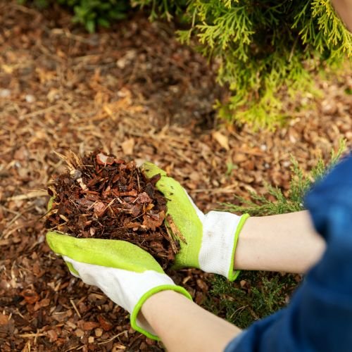 Paillage massif floral à Belfort : quel matériau choisir en 2026 ?